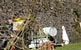 Fleur de Chaux - réalisation de cabanes en branches, terre, paille